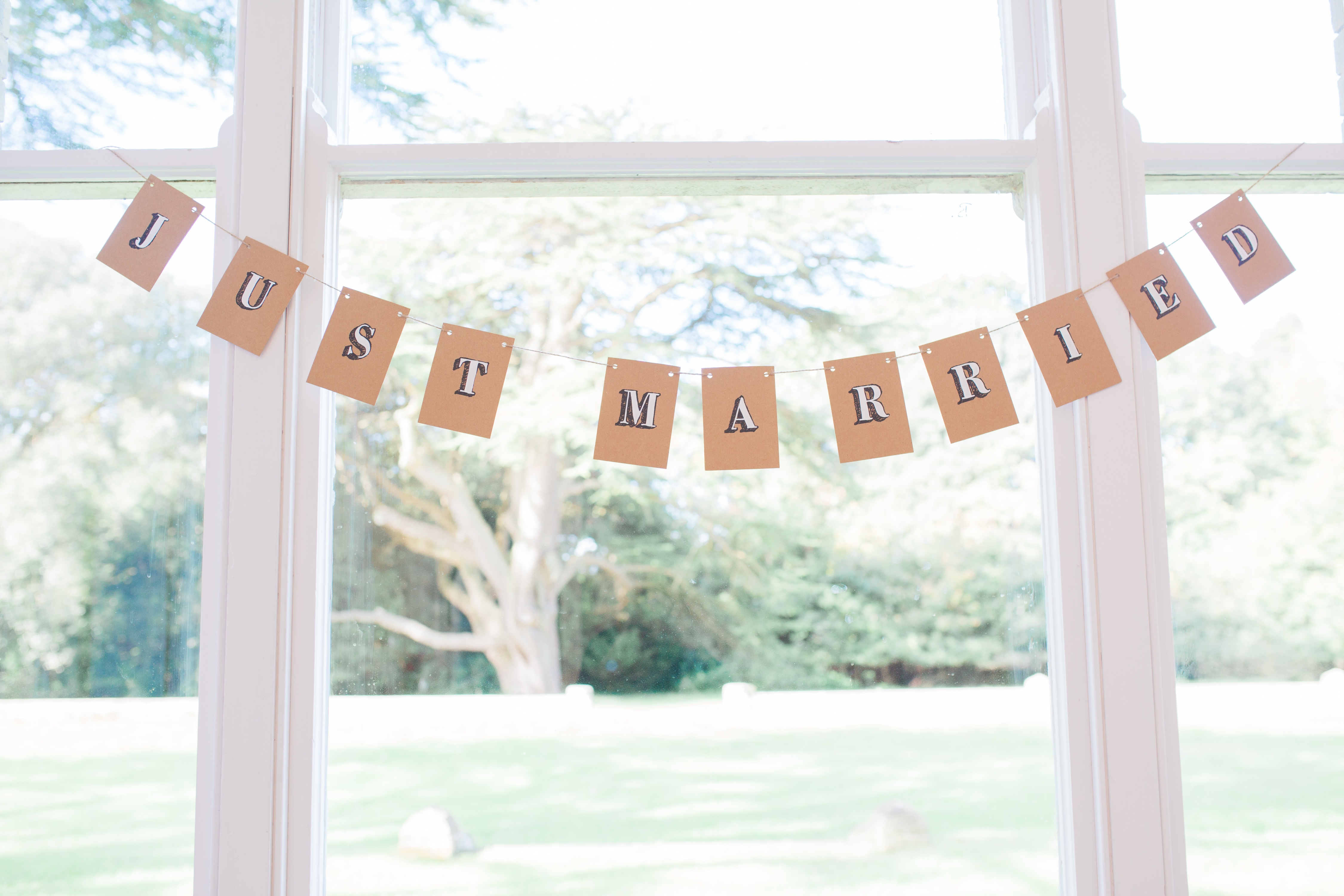 Hand Painted Wedding Day Bunting